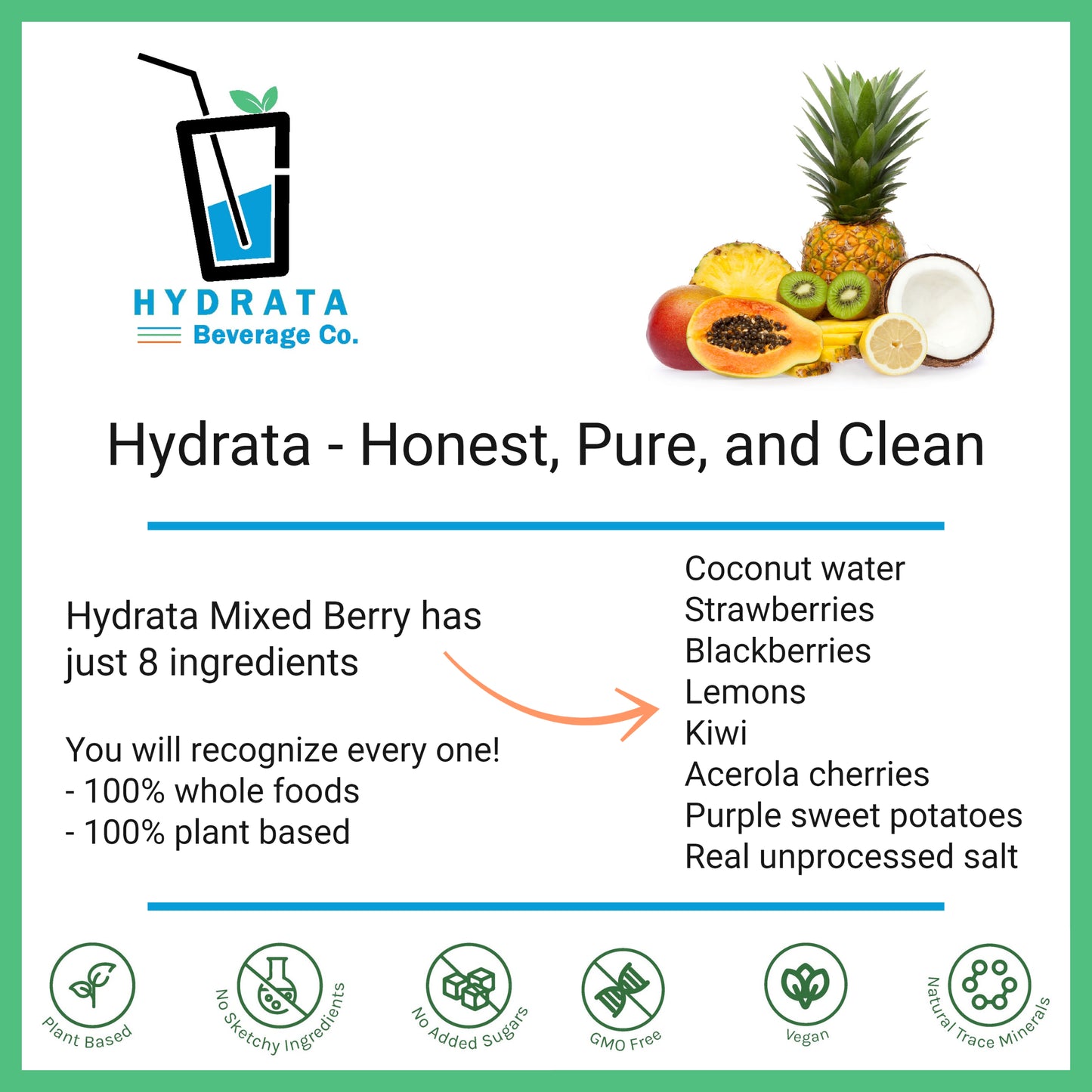 Hydrata Electrolyte Beverage Powder - Mixed Berry Flavor